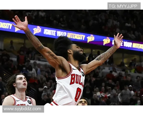 火箭与公牛季前赛精彩录像回放全解析与赛后点评