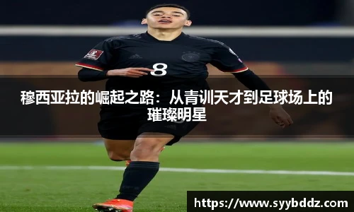 emc易倍